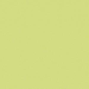 سرامیک سبز | تک رنگ | پرسلان | راک سرامیک