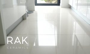 ویژگی های خاص سرامیک مونوکالر در چیست؟