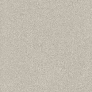 سرامیک پارکینگی Salt&pepper 60*60