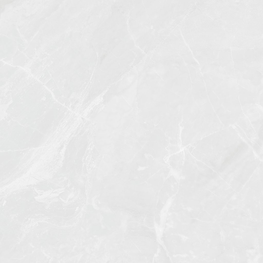 سرامیک نانوپولیش طوسی روشن Coral Stone Light Grey 80*80