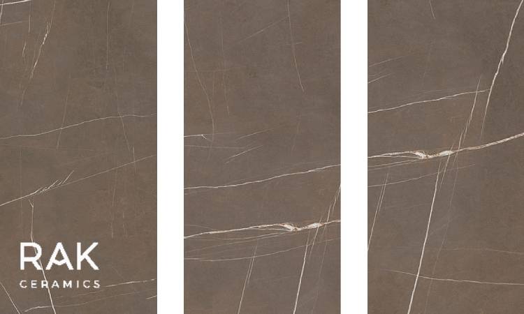 آیا سرامیک طرح لاشتر مورد پذیرش عام و خاص است؟