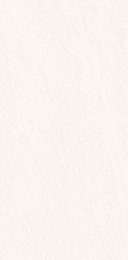 اسلب سرامیک پرسلان استخوانی مات120*270 ASH